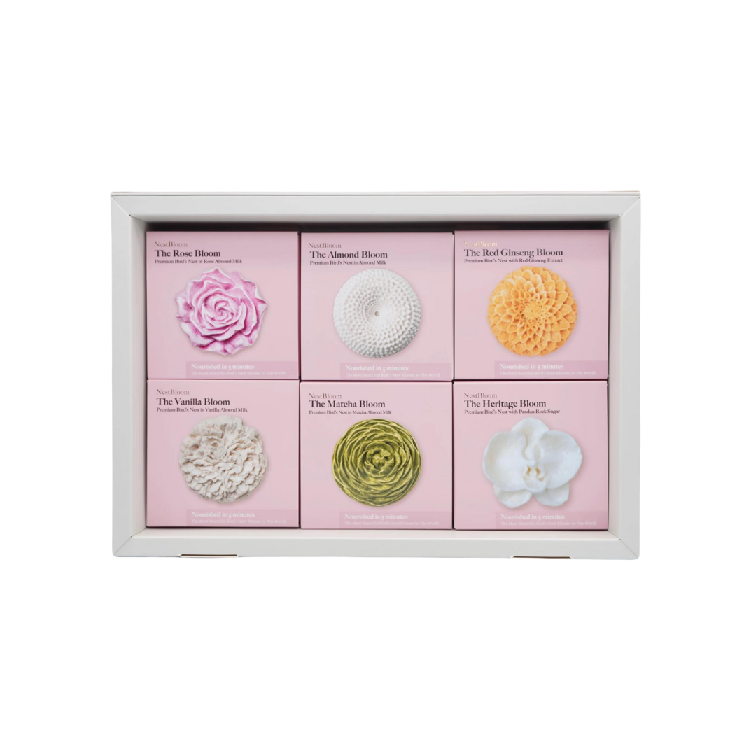 NestBloom Classic Box of 6 Main Image