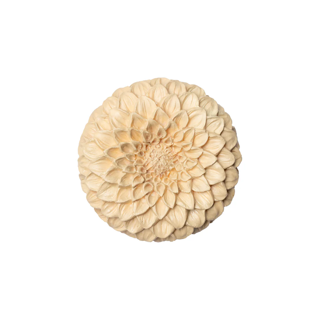 NestBloom Red Ginseng Bloom Birds Nest Sample