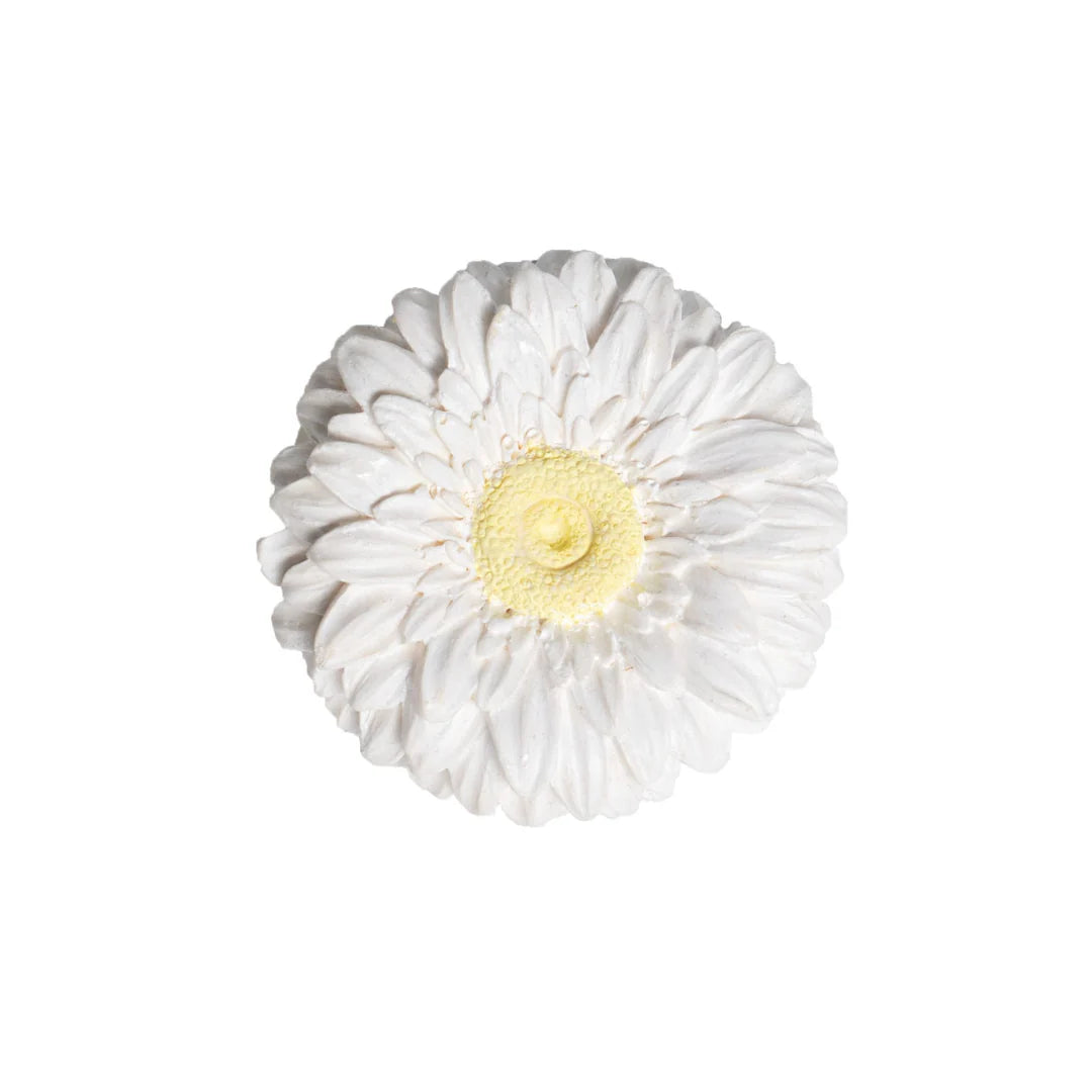 NestBloom Osmanthus Bloom Birds Nest Sample